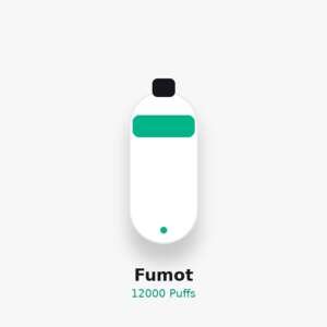 Fumot Randm Digital Box 12000